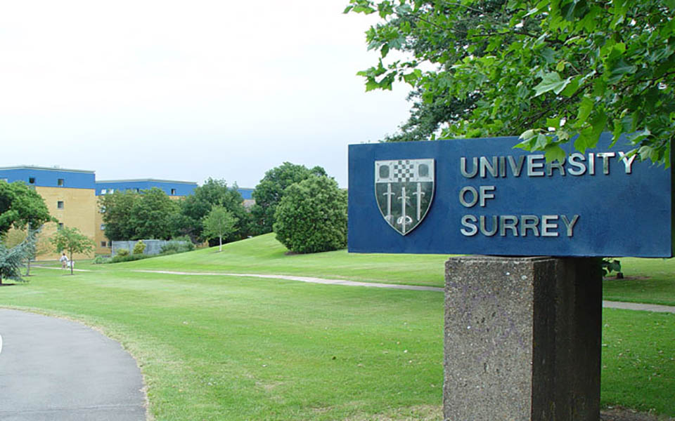 萨里大学